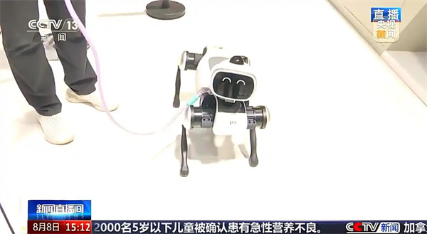 2025世界机器人大会：未来科技的全景展示
